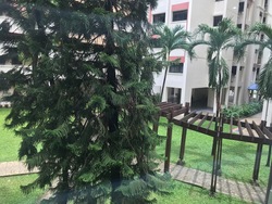 Blk 659B Jurong West Street 65 (Jurong West), HDB 5 Rooms #172353422
